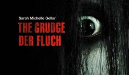 美版咒怨在线观看,惊悚恐怖，揭秘灵异现象背后的真相